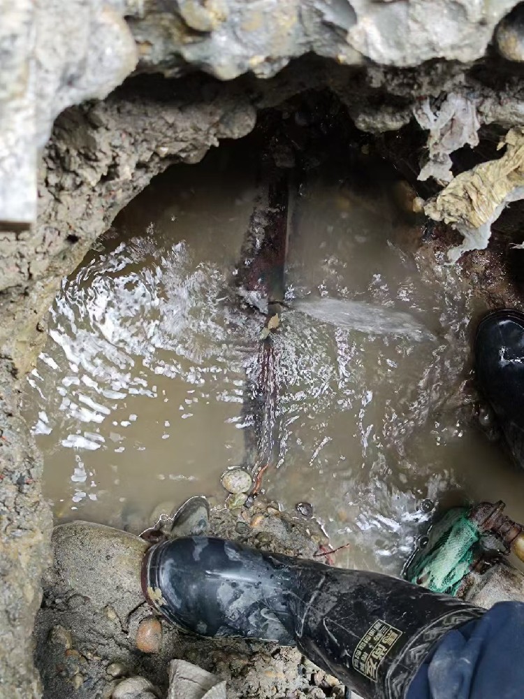 湖州地区绿化水管漏水检测维修